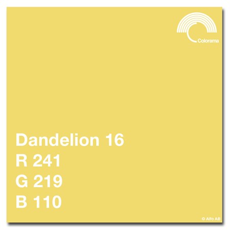 Colorama 2,72 x 11m Dandelion