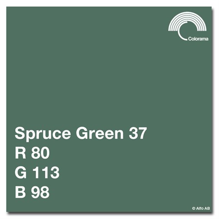 Colorama 2,72 x 11m Spruce Green