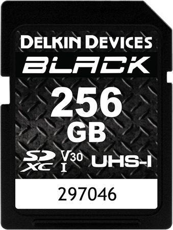 Delkin BLACK SD 256GB Rugged V30 R90/W90